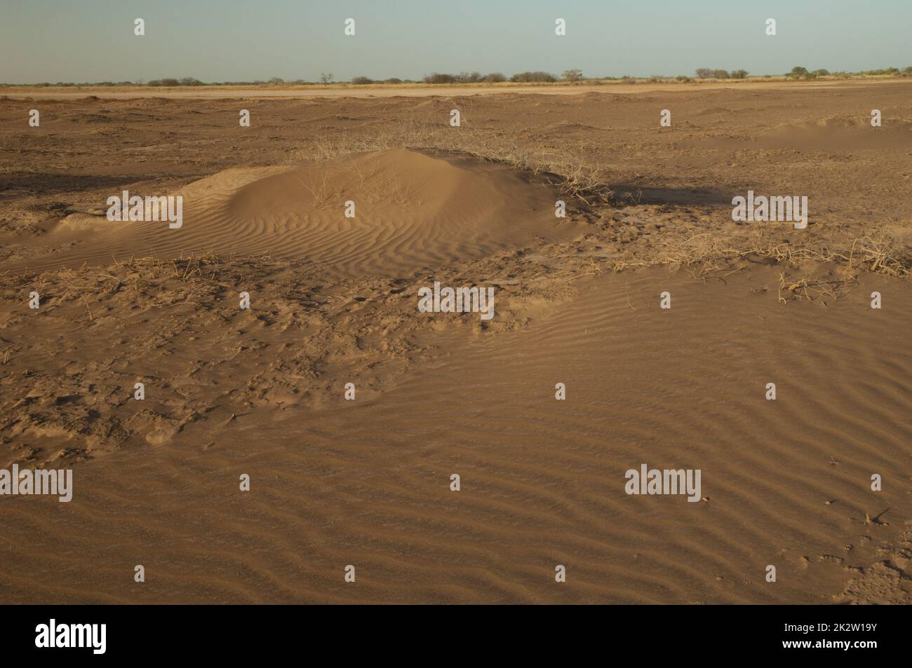 Wüstenlandschaft im Oiseaux du Djoudj-Nationalpark. Stockfoto