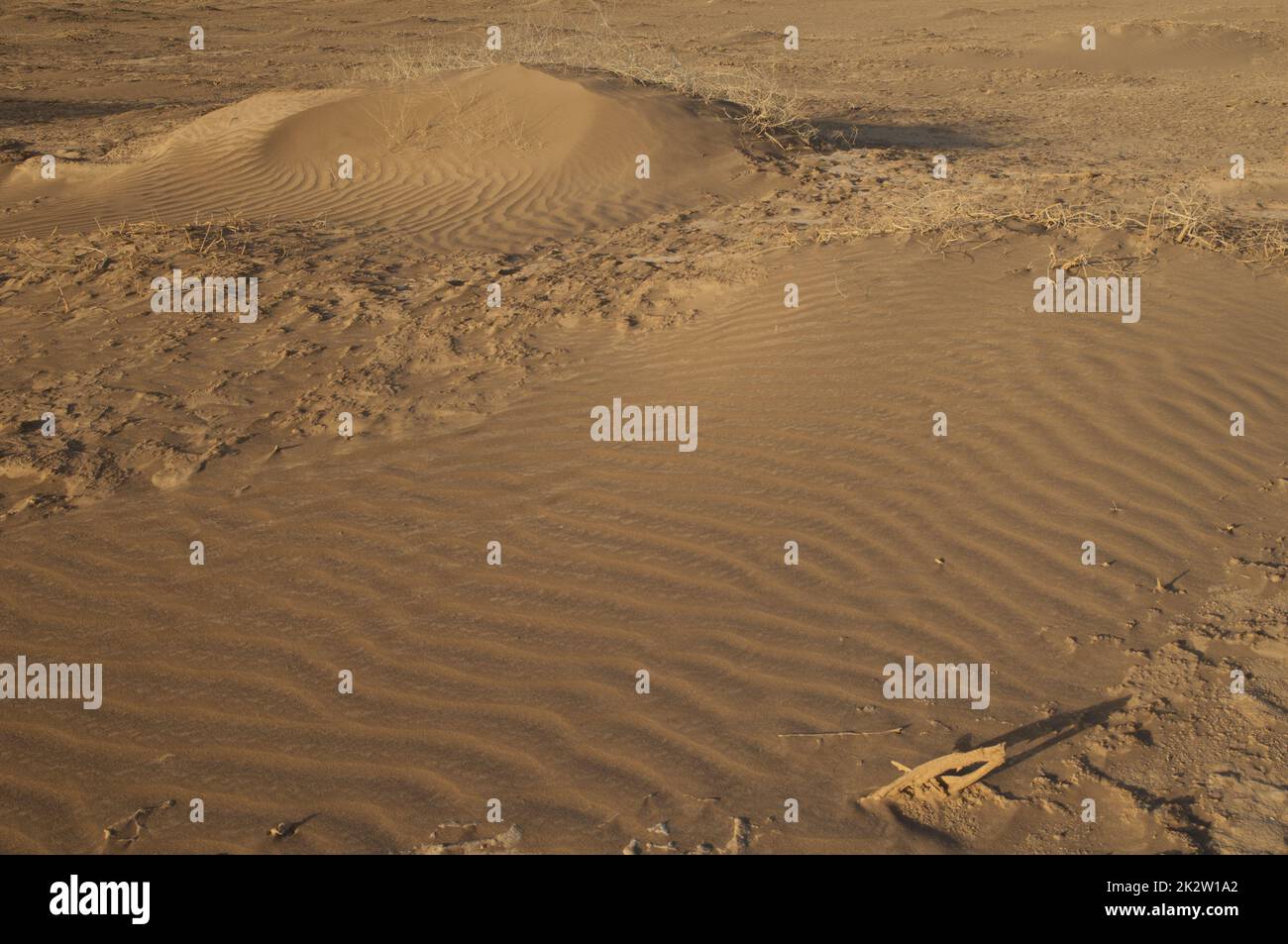 Wüstenlandschaft im Oiseaux du Djoudj-Nationalpark. Stockfoto