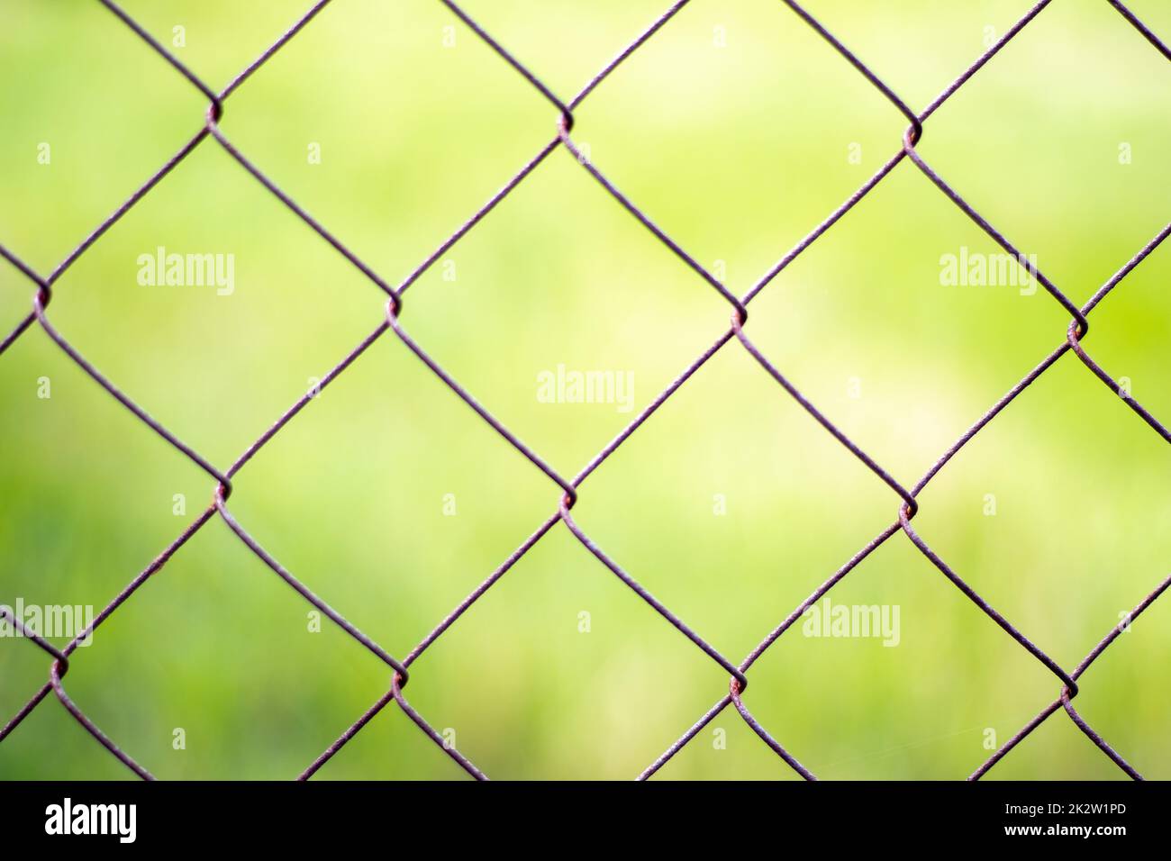 Netzkäfig im Garten mit grünem Gras als Hintergrund. Metallzaun mit Drahtgeflecht. Verschwommener Blick auf die Landschaft durch einen Stahlgitter-Metallzaun auf grünem Gras. Abstrakter Hintergrund. Stockfoto