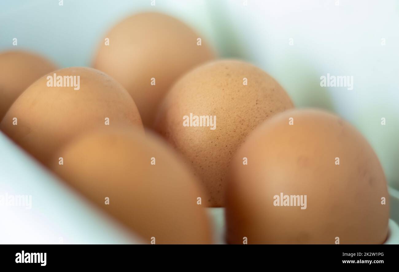 Rohe Hühnereier im Kühlschrank, Nahaufnahme. Braune Eier in einem Eiertuch auf einem Regal an der Kühlschranktür. Ausgewählter Fokus. Stockfoto