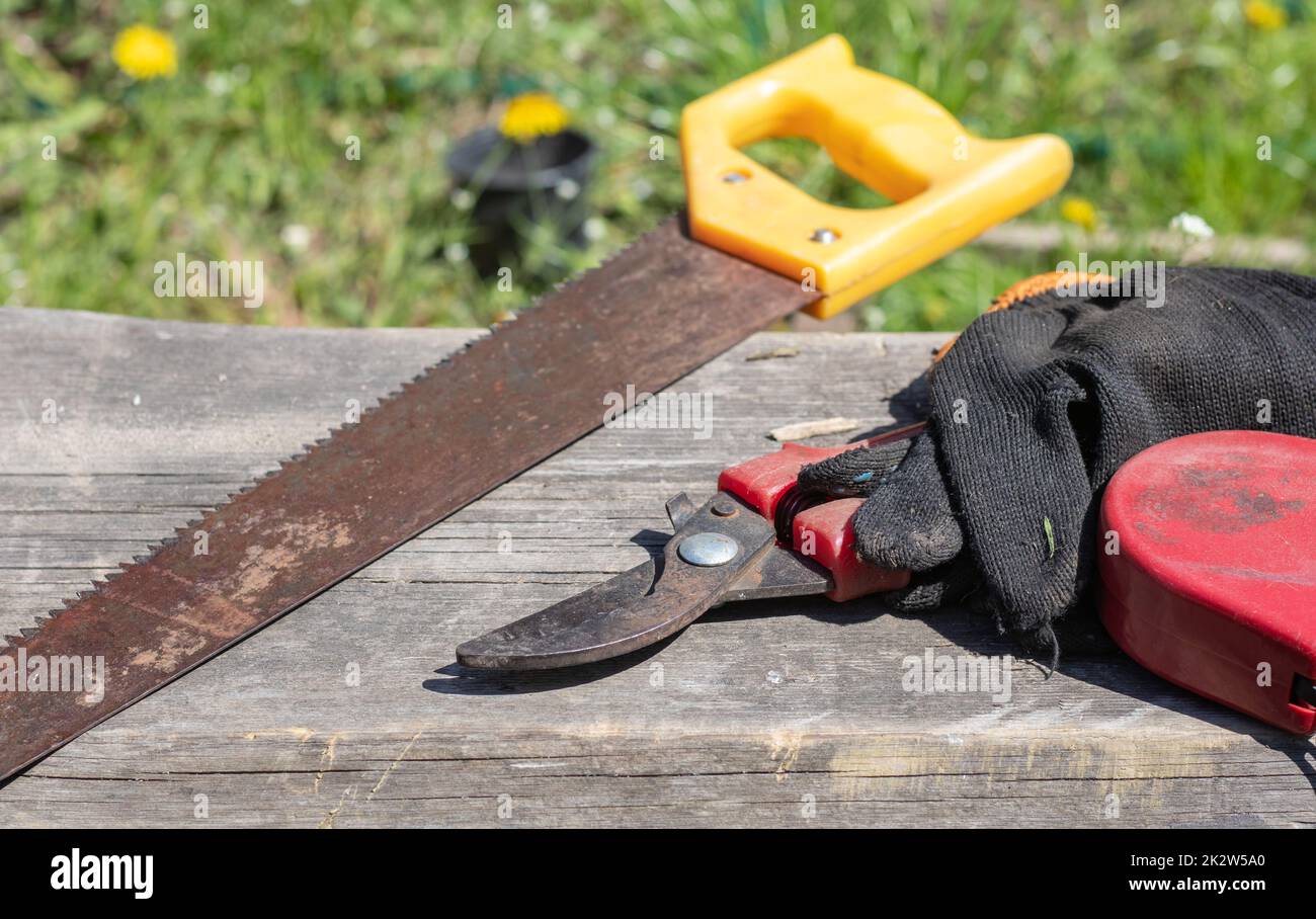 Eine alte rostige Handsäge mit Kunststoffgriff für Holzsägeplatten, Sperrholz und andere Materialien. Säge, Gartenschere mit Handschuhen. Gartengeräte an einem hellen sonnigen Tag im Garten. Stockfoto