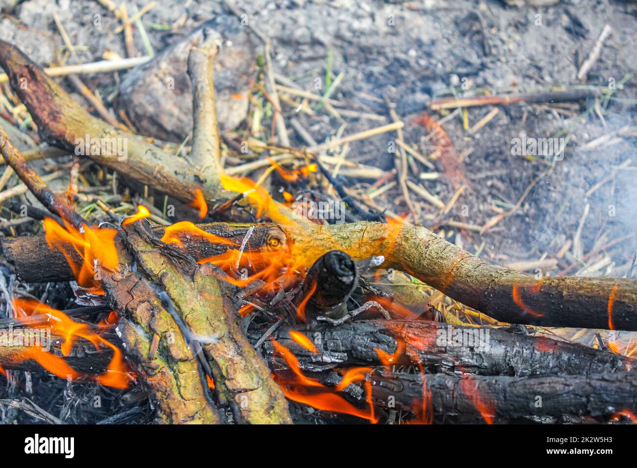 Lagerfeuer und brennendes Holz mit orangen Flammen auf der Harrier Sand