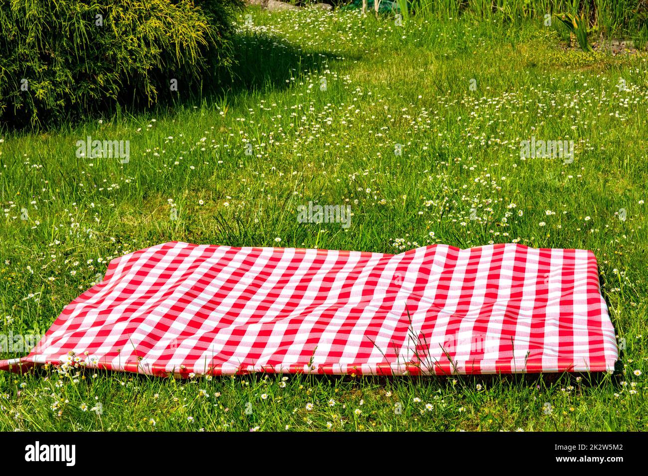 Rote Picknickdecke. Rot kariertes Picknick-Tuch auf einer blühenden Wiese mit Gänseblümchen. Schöne Kulisse für Ihre Produktplatzierung oder Montage. Stockfoto