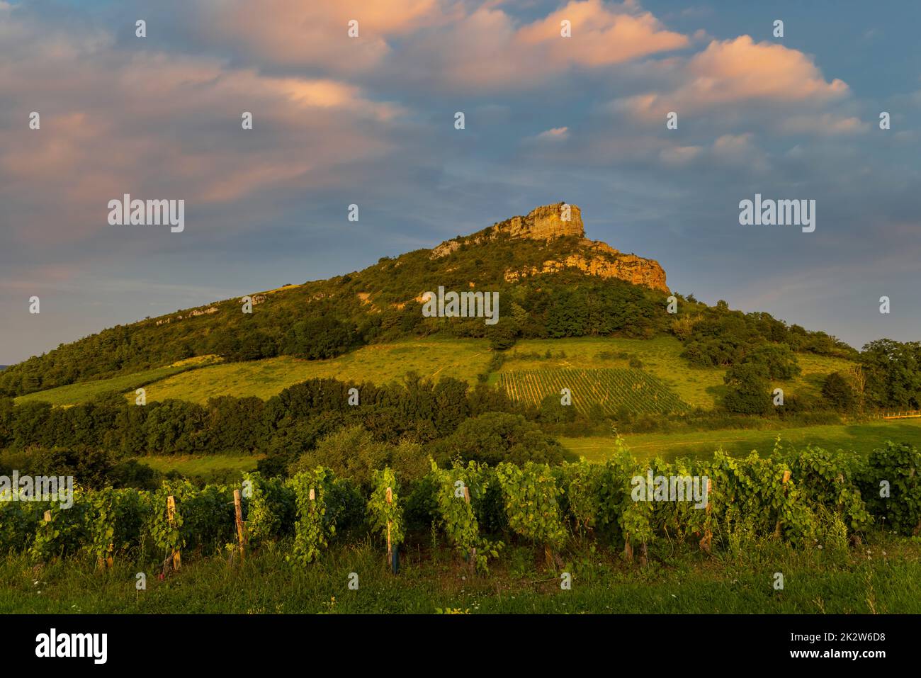 Felsen von Solutre mit Weinbergen, Burgund, Solutre-Pouilly, Frankreich Stockfoto