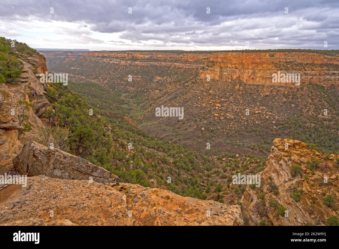 Klippen und Canyons in Skrublands des Westens Stockfoto