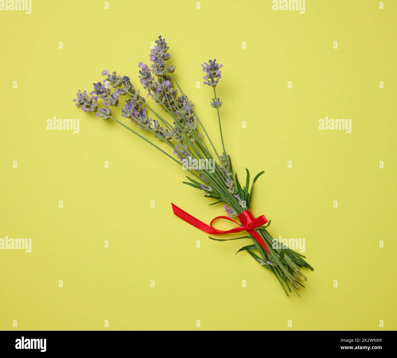 Lavendelstrauß gebunden mit einem roten Band auf grünem Hintergrund, Draufsicht Stockfoto