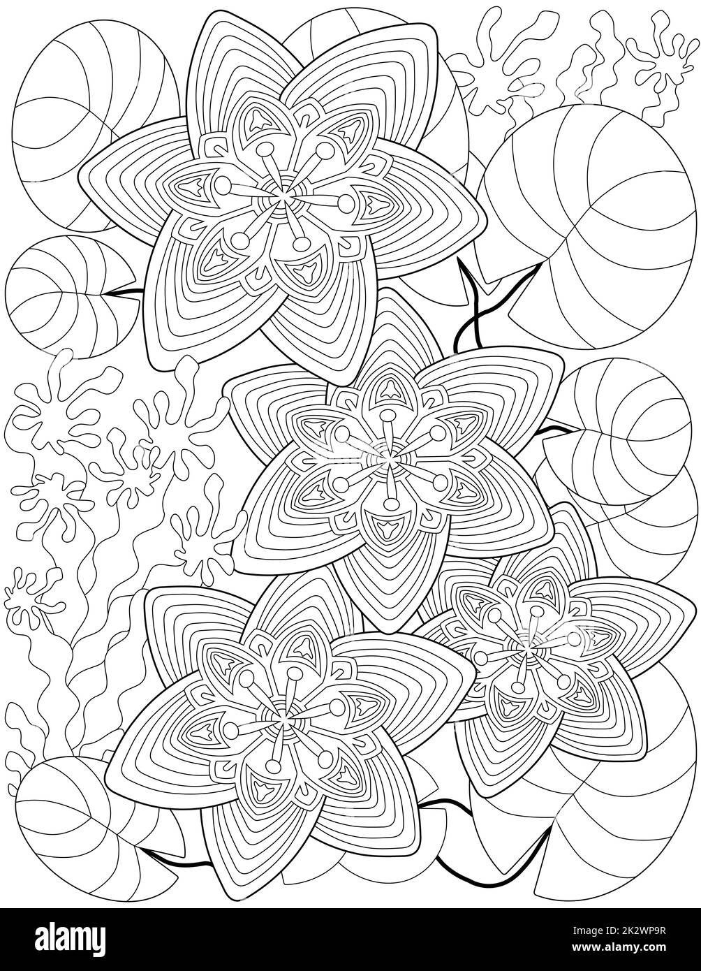 Vektorlinie, die stilisierte vier Lotusblüten zeichnet, schwebende Blätter des Sees. Digital lineart Bild aufwändige Wasserlilie Schwimmteich mit Blumenmuster. Umreißen Sie Kunstwerke im Pflanzendesign. Stockfoto