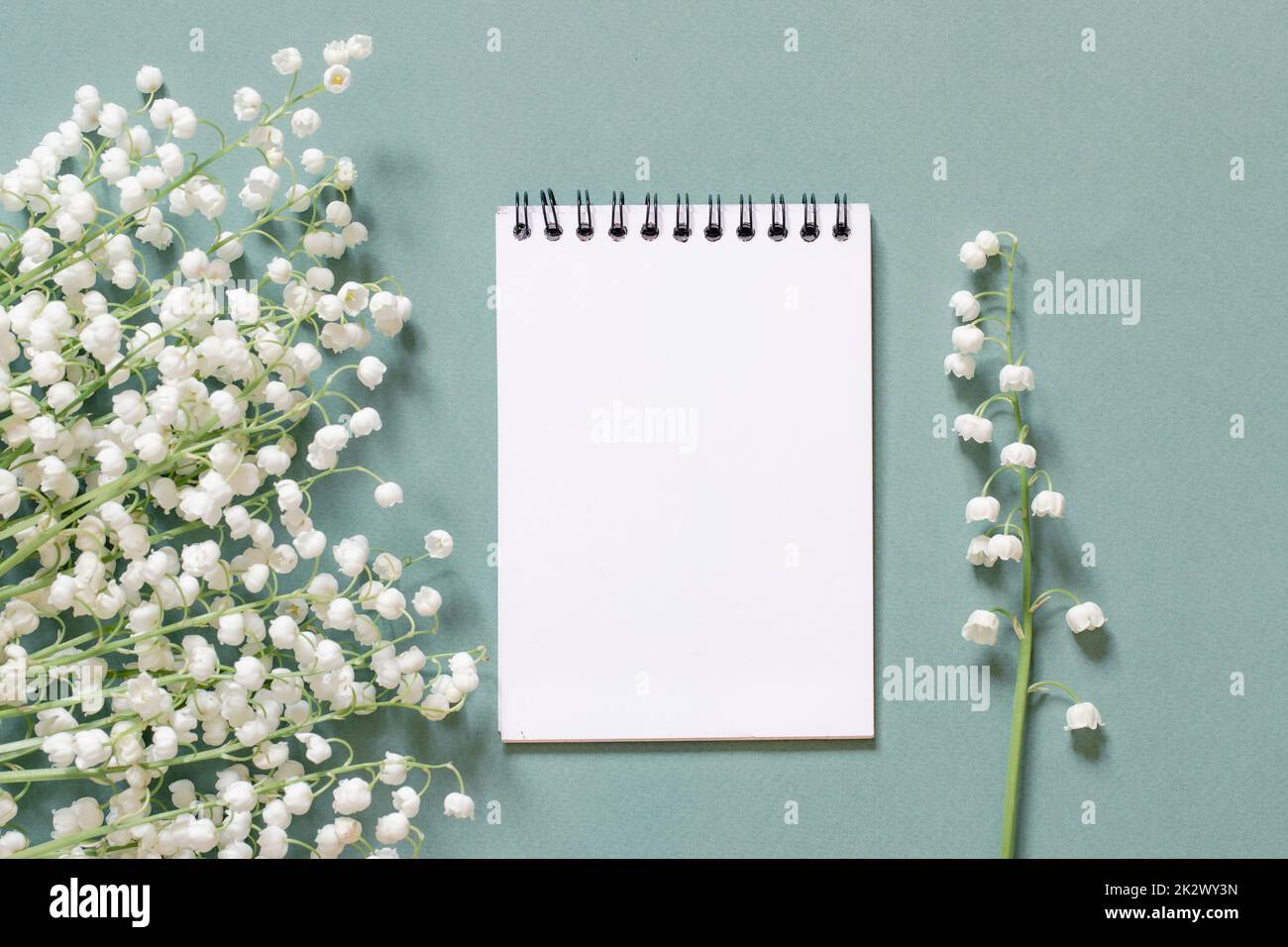 Blumen und ein leeres Blatt für das Schreiben, was zu tun Liste oder Danke. Dankbarkeit oder Planungskonzept Stockfoto