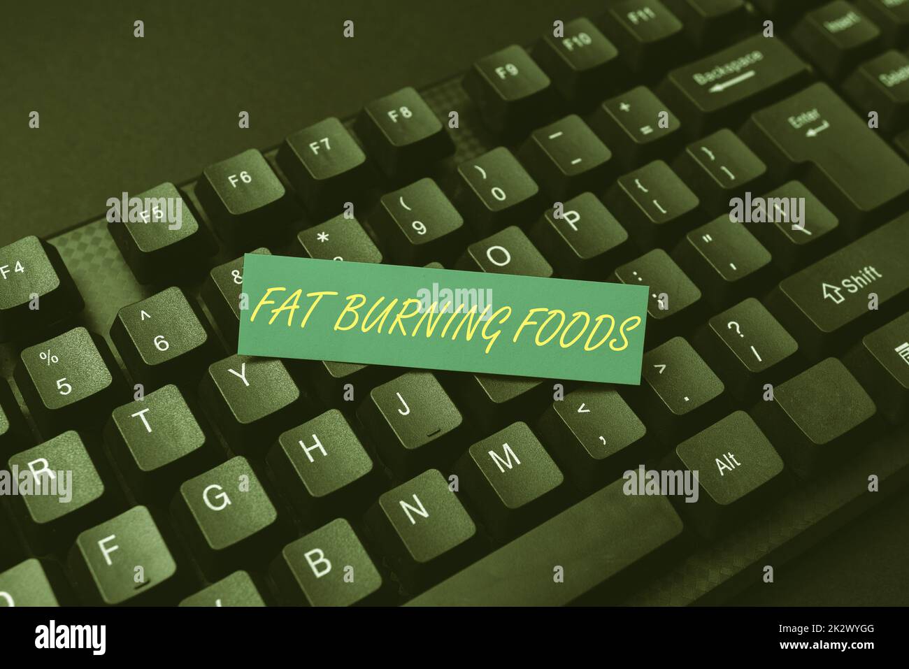 Textunterschrift präsentiert: Fat Burning Foods. Geschäftskonzept Fettabbau durch Stimulierung des Stoffwechsels zur Verringerung des Appetits Erstellen einer neuen Online-Blog-Website, Tippen sinnvoller Internetinhalte Stockfoto