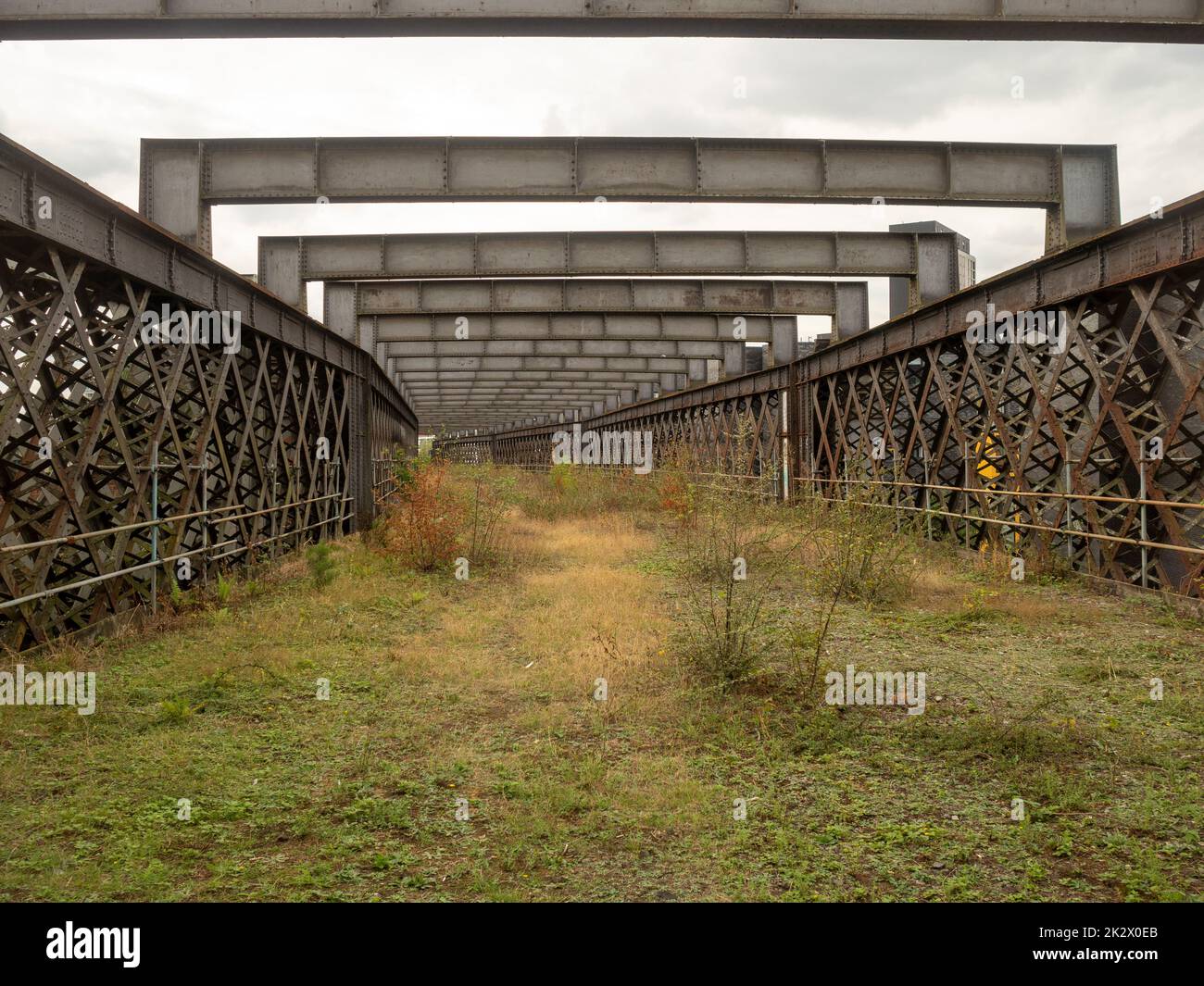 Überwucherter Abschnitt auf dem stillgewordenem Viadukt von Castlefield. Manchester, Großbritannien Stockfoto
