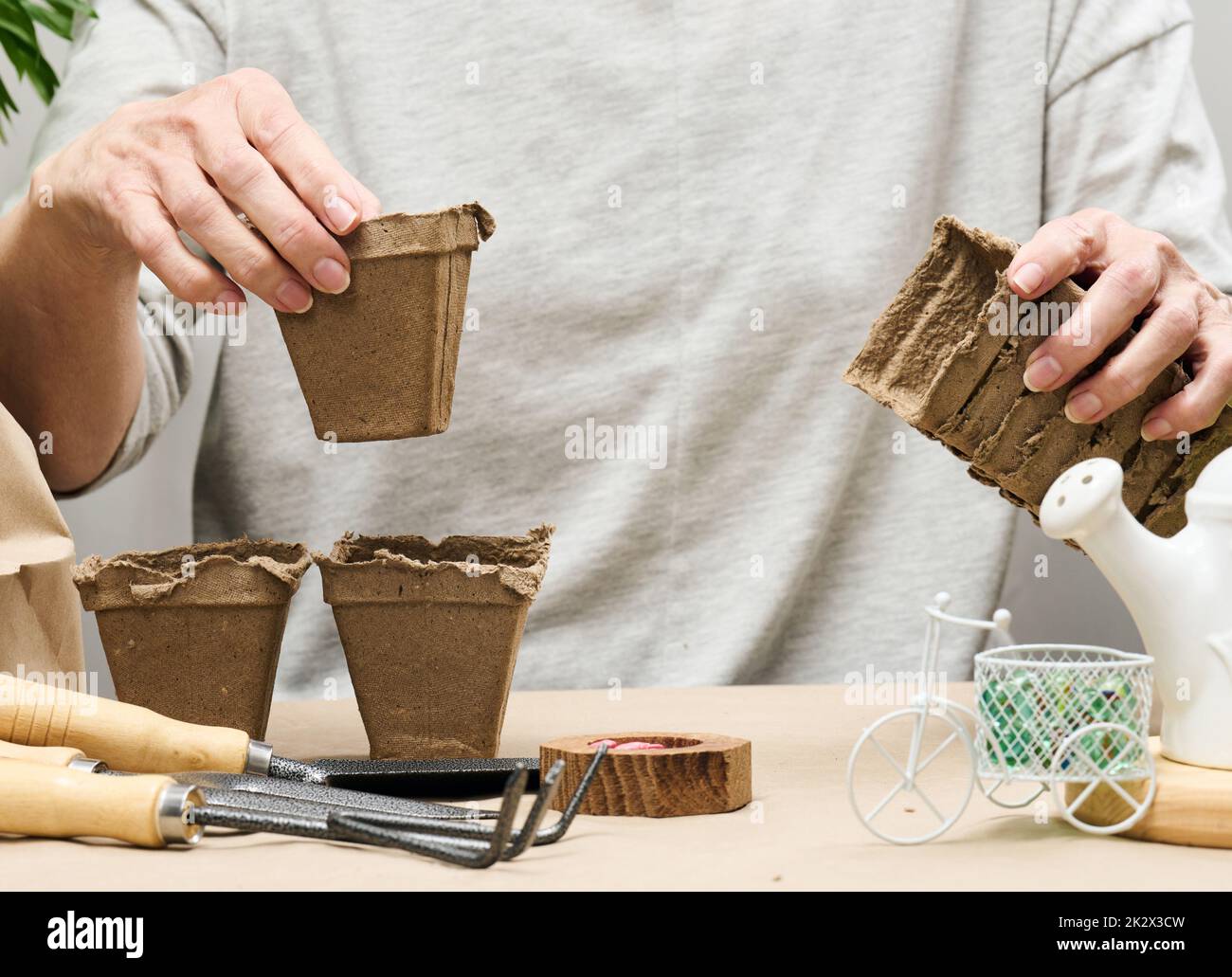 Frau zu Hause mit Pappbechern zum Pflanzen von Pflanzen und Gemüse. Hobby und Freizeit Stockfoto