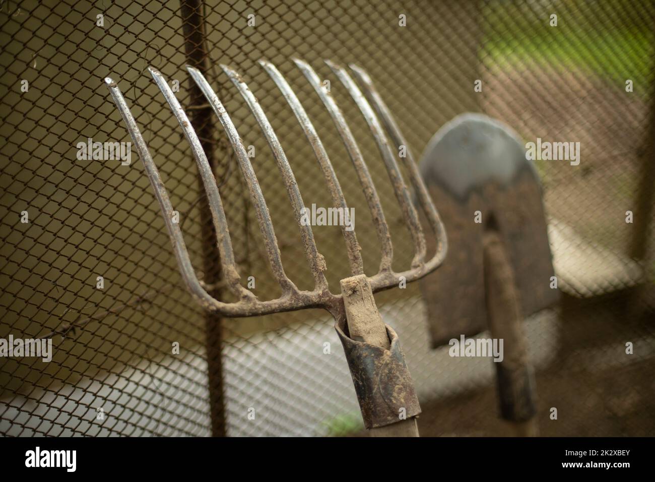 Schaufel und Rechen. Gartenwerkzeug wird gegen den Zaun geneigt. Stockfoto