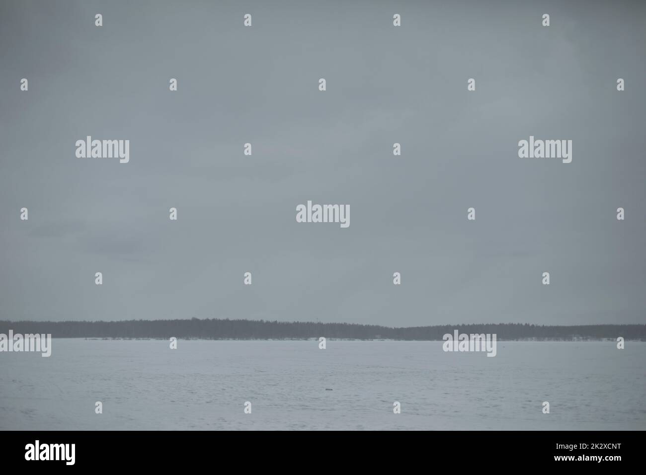 See im Winter. Grauer Tag. Bewölktes Wetter. Verschneites Feld und Wald am Horizont. Stockfoto