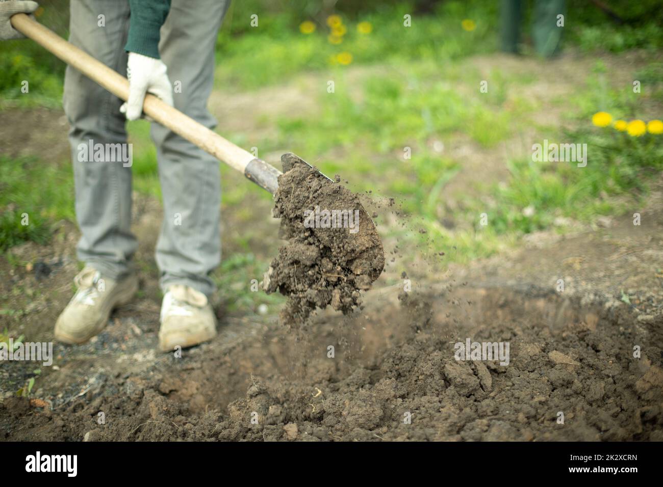 Der Kerl gräbt. Mann mit Schaufel. Details des ländlichen Lebens. Stockfoto