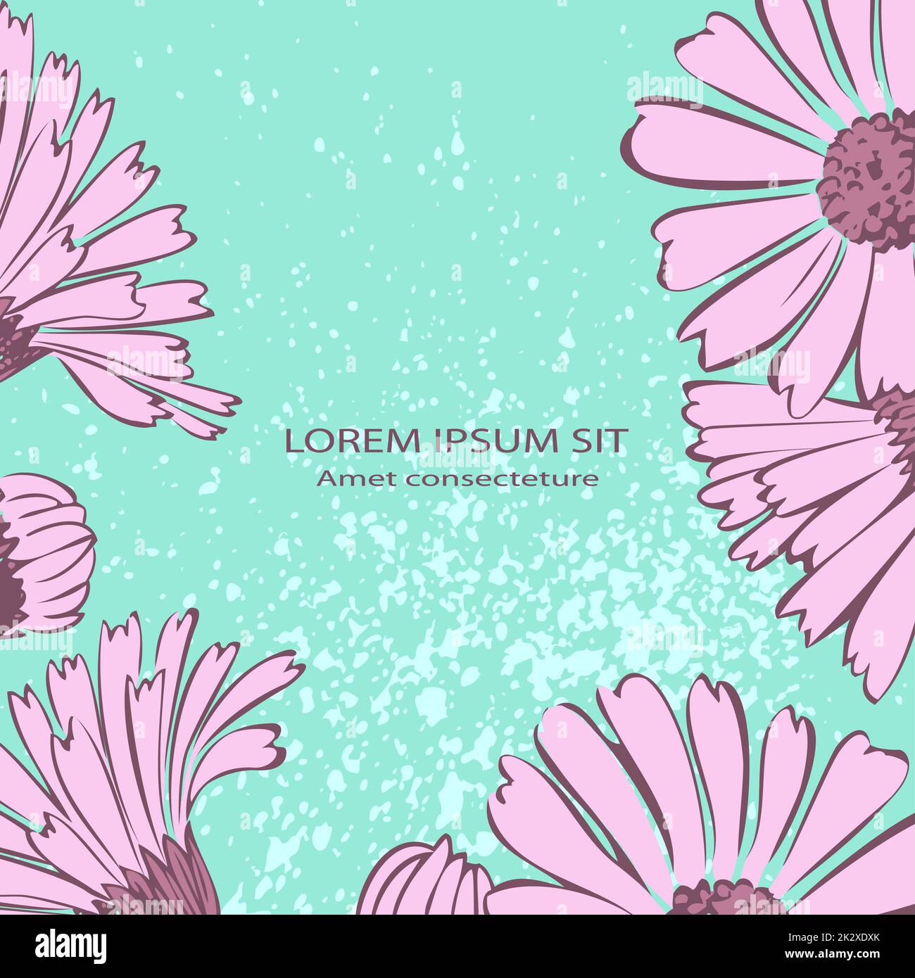 Attraktiv gestaltete Blumen. Rosa gezeichnete Chrysanthemen künstlerische Vektordarstellung. Blumenmotiv mit botanischem Hochzeitsschmuck und Aquarellspray auf zyanischem Hintergrund Stockfoto
