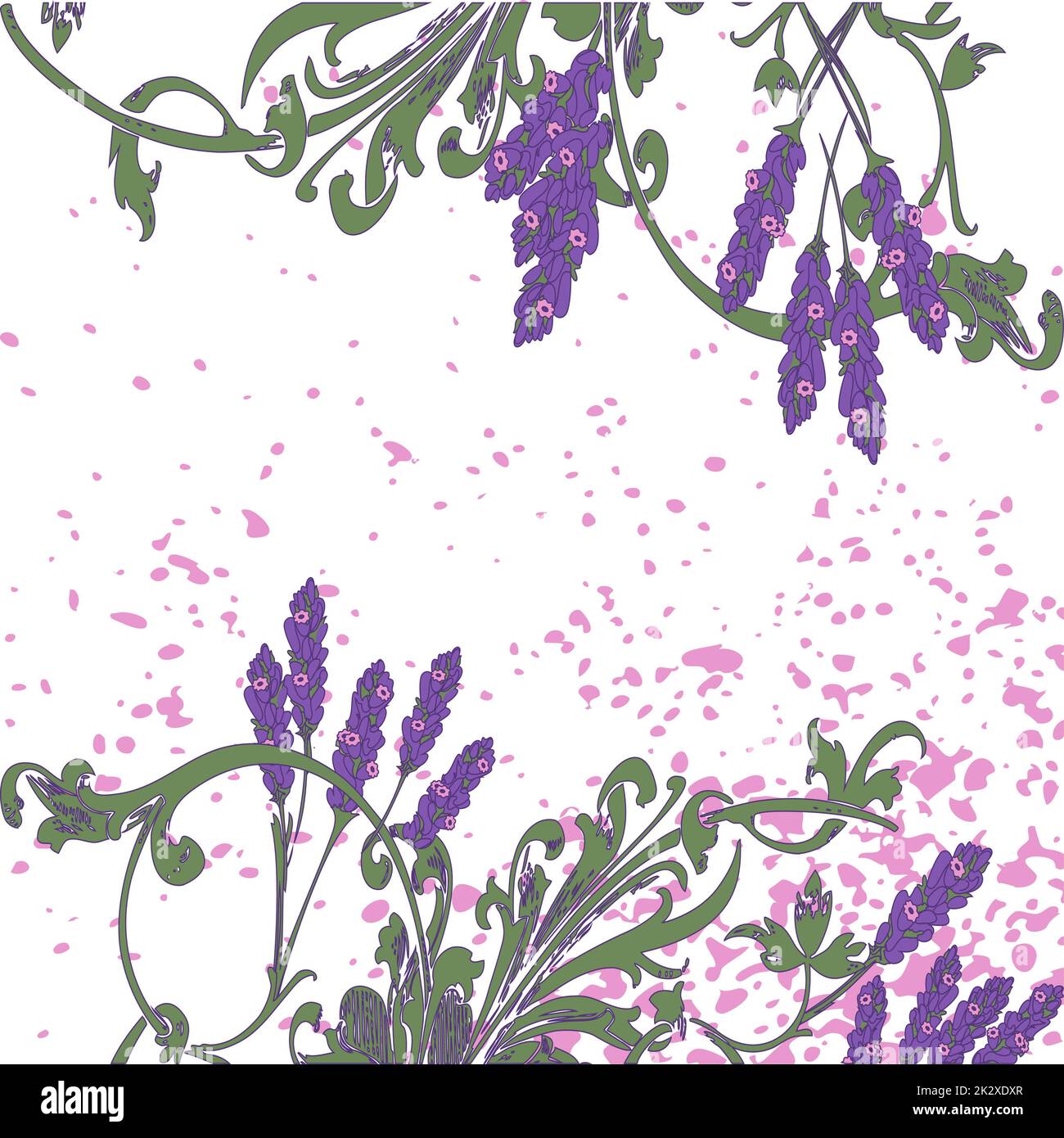 Handgezeichnete Lavendelblumen auf weißem, abstraktem Blumenmuster. Blühende grüne Äste, trendiger künstlerischer Hintergrund. Grafikvektordarstellung Hochzeit, Poster, Grußkarte, Zeitschrift Stockfoto