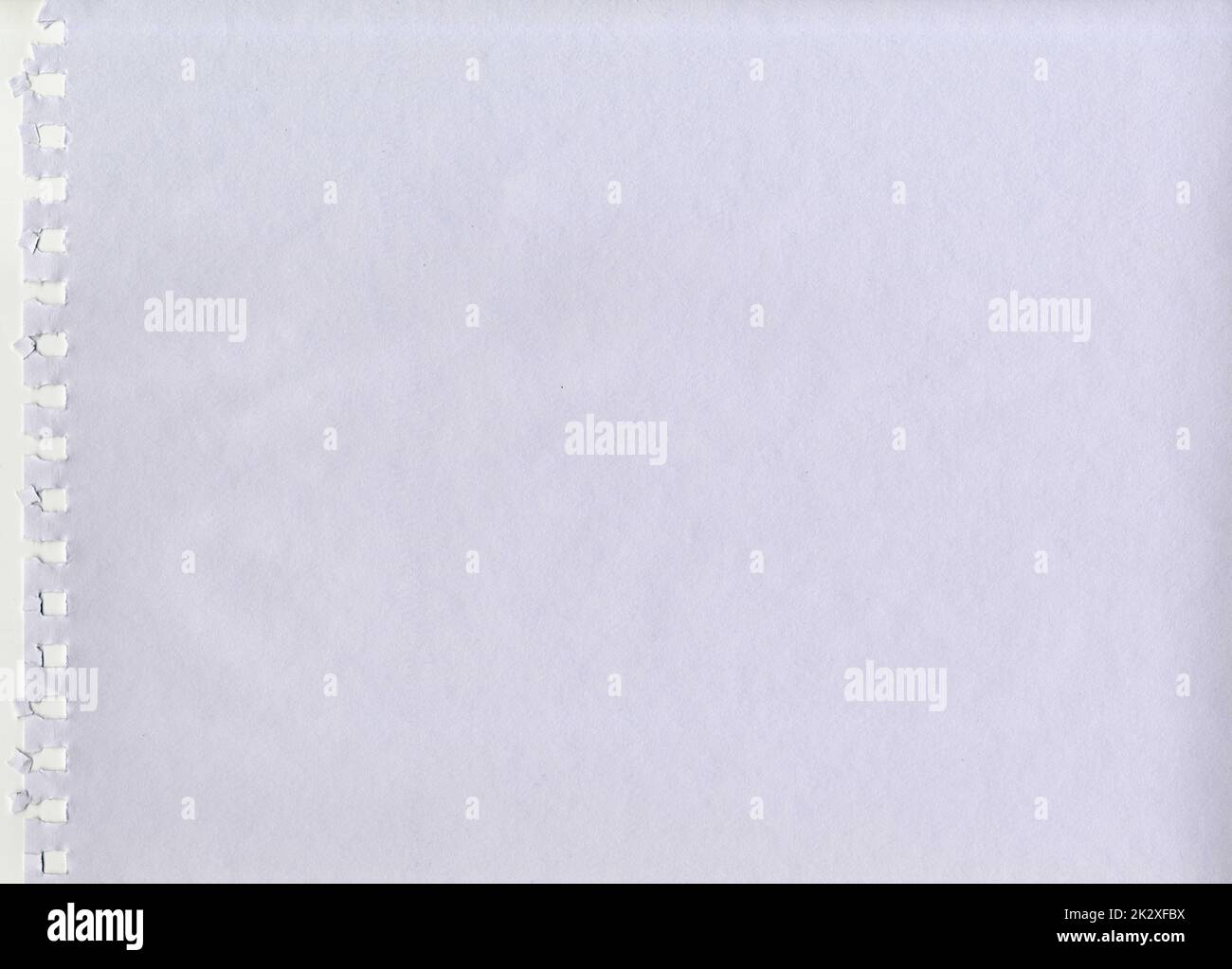 Großes Bild hochauflösende weiße Wasserfarbe ungestrichen raues Papier Textur Hintergrund Scan gerissen von einem Notebook mit quadratischen Spirallöchern für Gegenwart Stockfoto