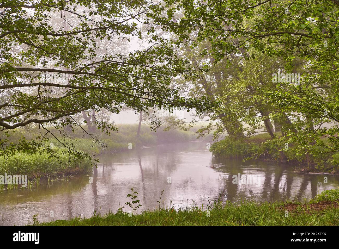 Frühlingssonnenaufgang. Fluss im malerischen Park. Im Sommer neblig, ruhig, am Morgen ländlich. Creek in nebligen Wäldern. Erlenbäume am Flussufer. Stockfoto