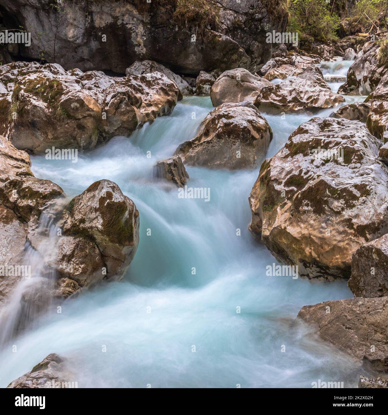 Im Zauberwald, Zauberwald, am Hintersee bei Ramsau, Berchtesgaden, Bayern, Deutschland, Stockfoto