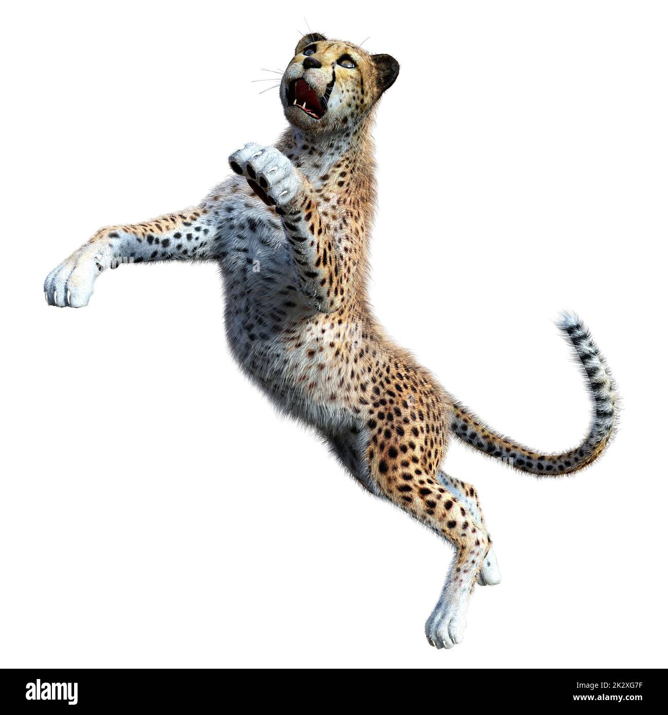 3D-Rendering Big Cat Cheetah auf Weiß Stockfoto
