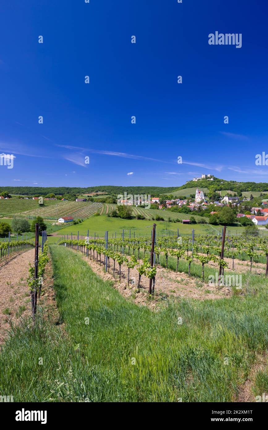 Falkenstein Ruinen und Stadt mit Weinberg, Niederösterreich, Österreich Stockfoto