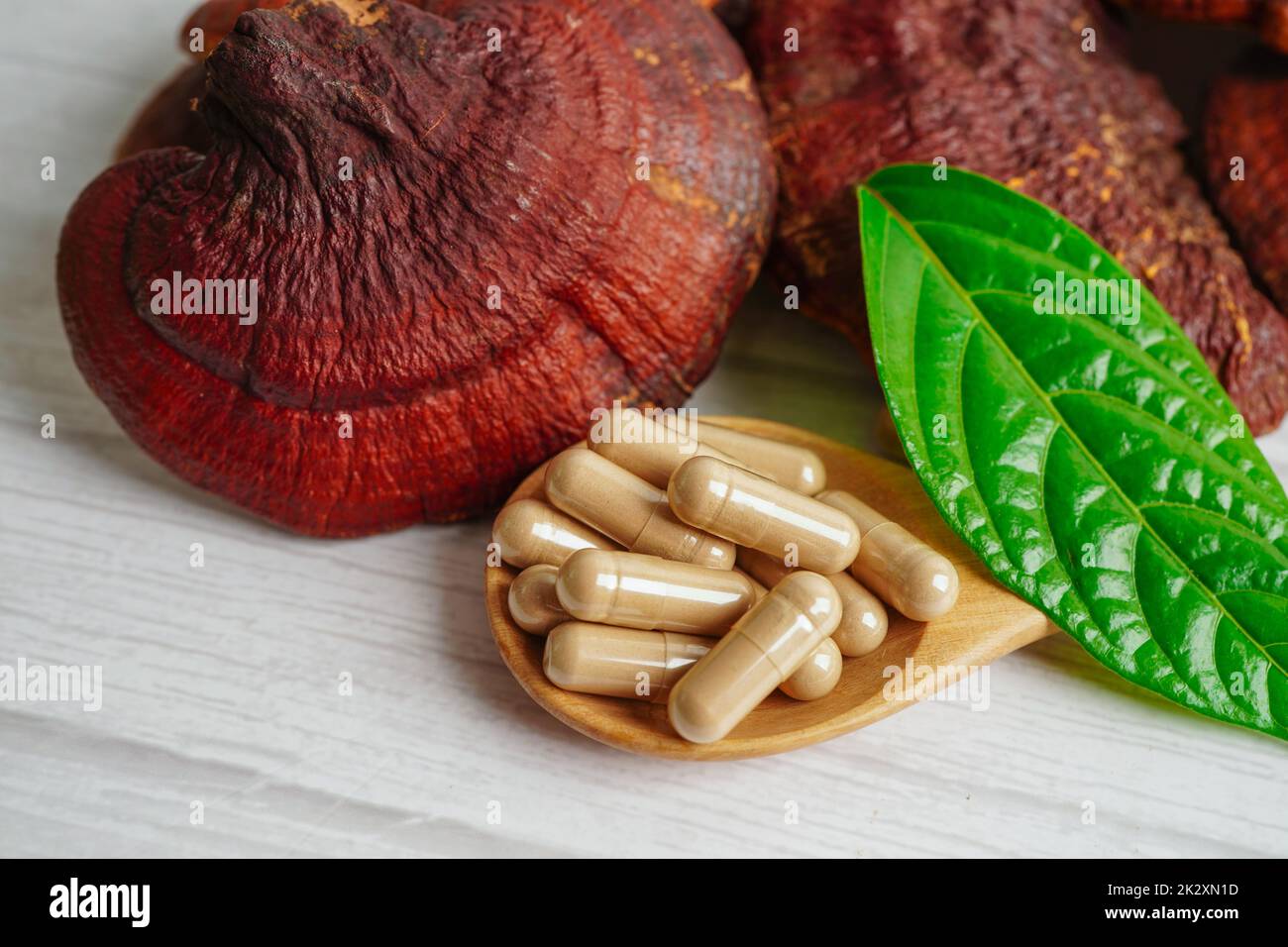 Lingzhi oder Reishi Pilz mit Kapseln, Bio natürliche gesunde Ernährung. Stockfoto