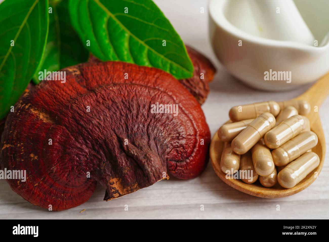 Lingzhi oder Reishi Pilz mit Kapseln, Bio natürliche gesunde Ernährung. Stockfoto