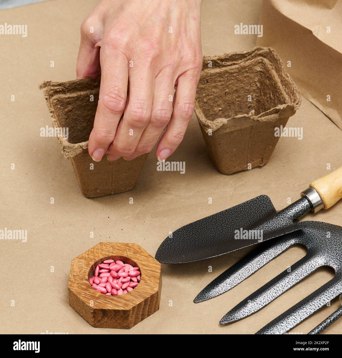 Frau zu Hause mit Pappbechern zum Pflanzen von Pflanzen und Gemüse. Hobby und Freizeit Stockfoto