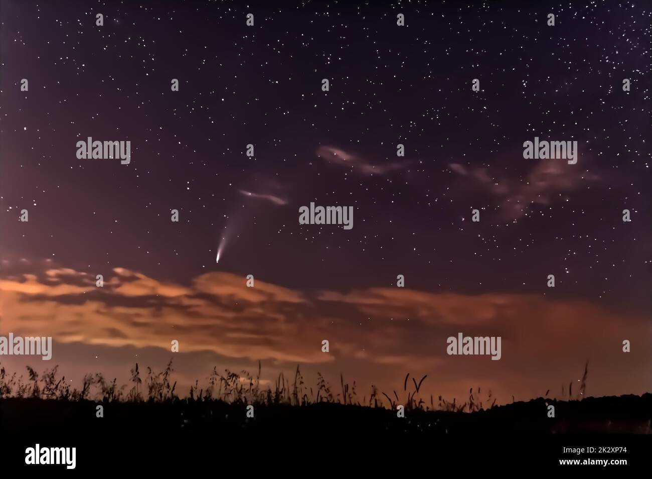 Comet Neowise C/2020 F3 fotografiert am 2020-07-19 in der Schwäbischen Alb, Deutschland, Europa Stockfoto