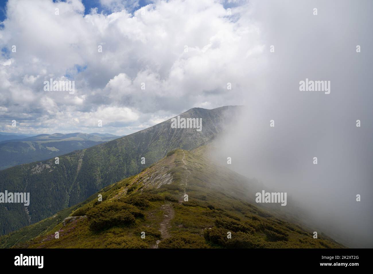 Grüner Berggipfel mit Wolkennebel, der vorbeizieht, und Pfad auf dem Kamm Stockfoto