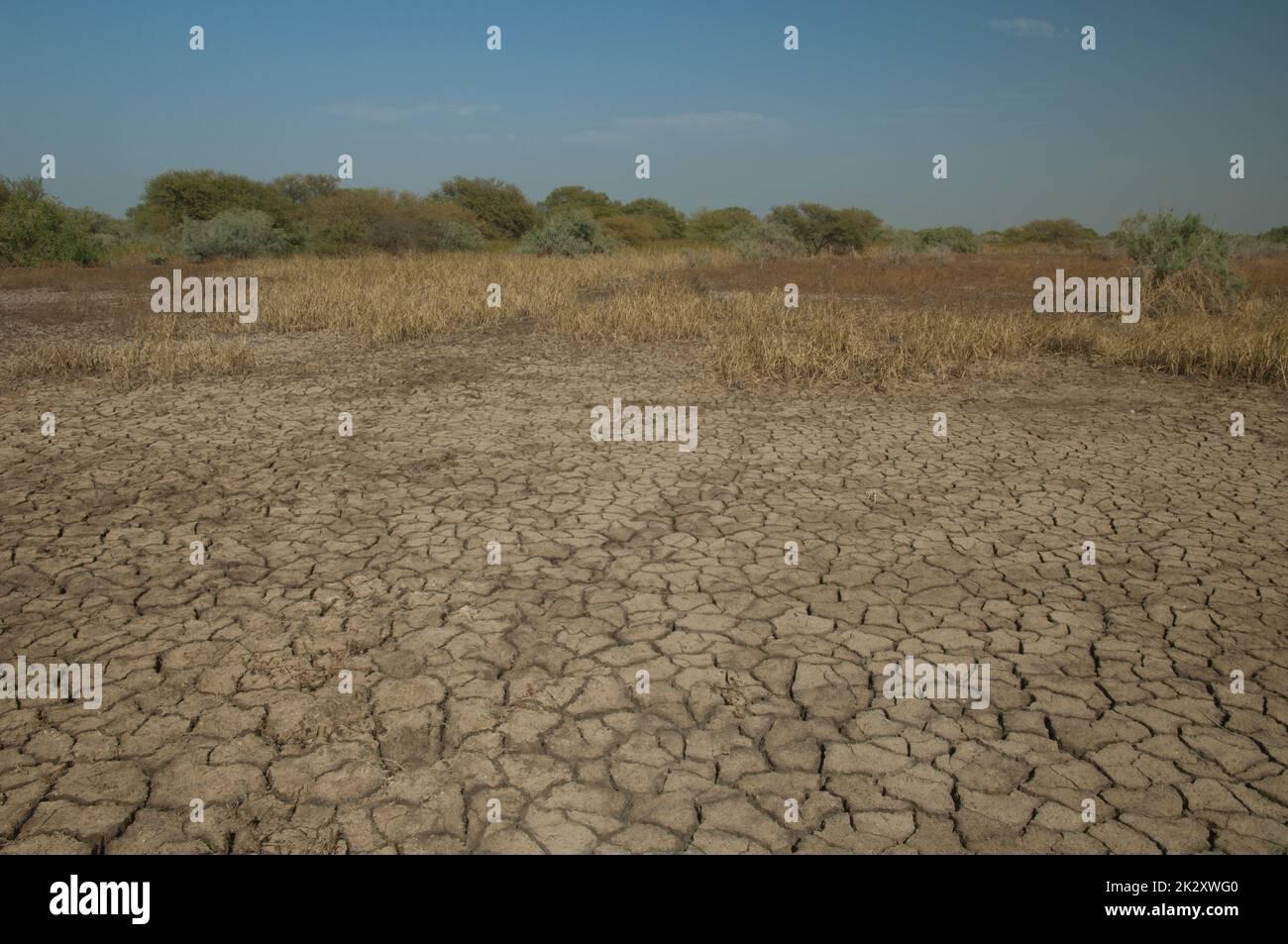 Trockene Lagune im Nationalpark Oiseaux du Djoudj. Stockfoto
