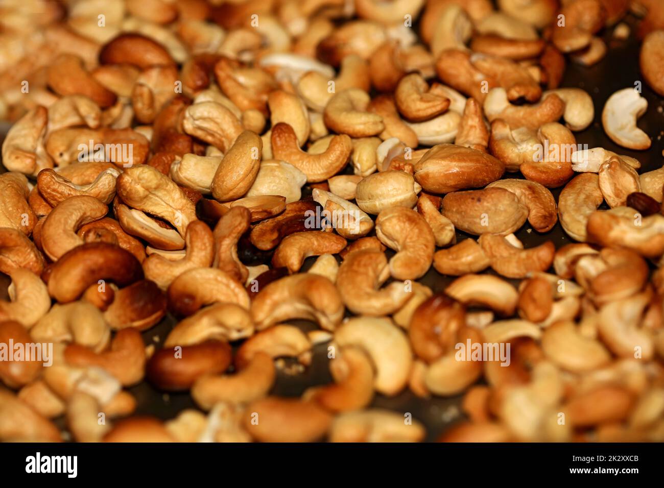 Zurückgelegte Cashews Nahhintergrund moderne, hochwertige Drucke Anacardium occidentale Familie anacardiaceae Stockfoto