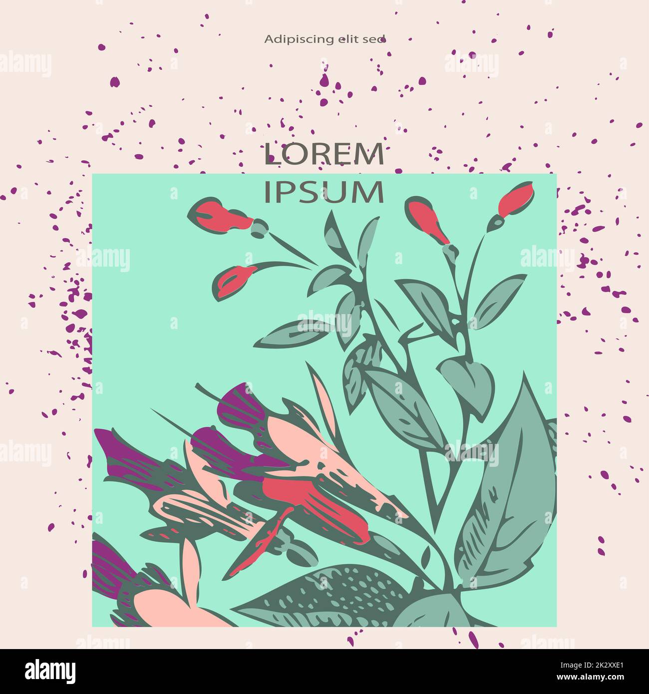 Attraktiv angeordneter Strauß pinkfarbener Blumen auf hellweißem Boden mit violettem Spritzer. Gezeichnete Fuchsien-Blumen, künstlerische Vektordarstellung. Florales, trendiges botanisches Muster, Grafikdesign Stockfoto