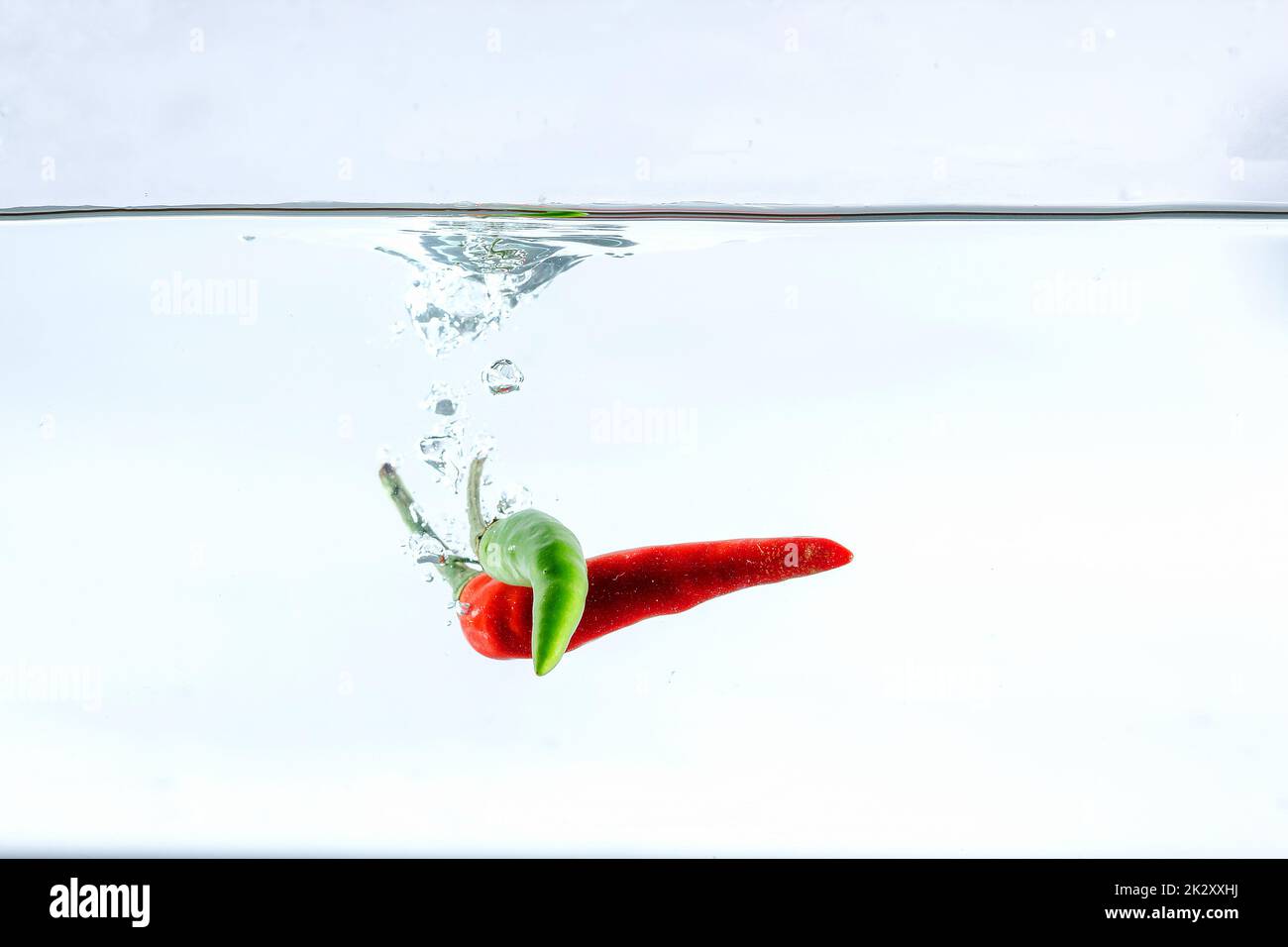 Rote Chili, Wasserspritzer, auf weißem Hintergrund gelötet Stockfoto