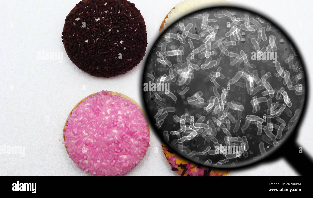 Auf der Suche nach Bakterien in Süßigkeiten Stockfoto
