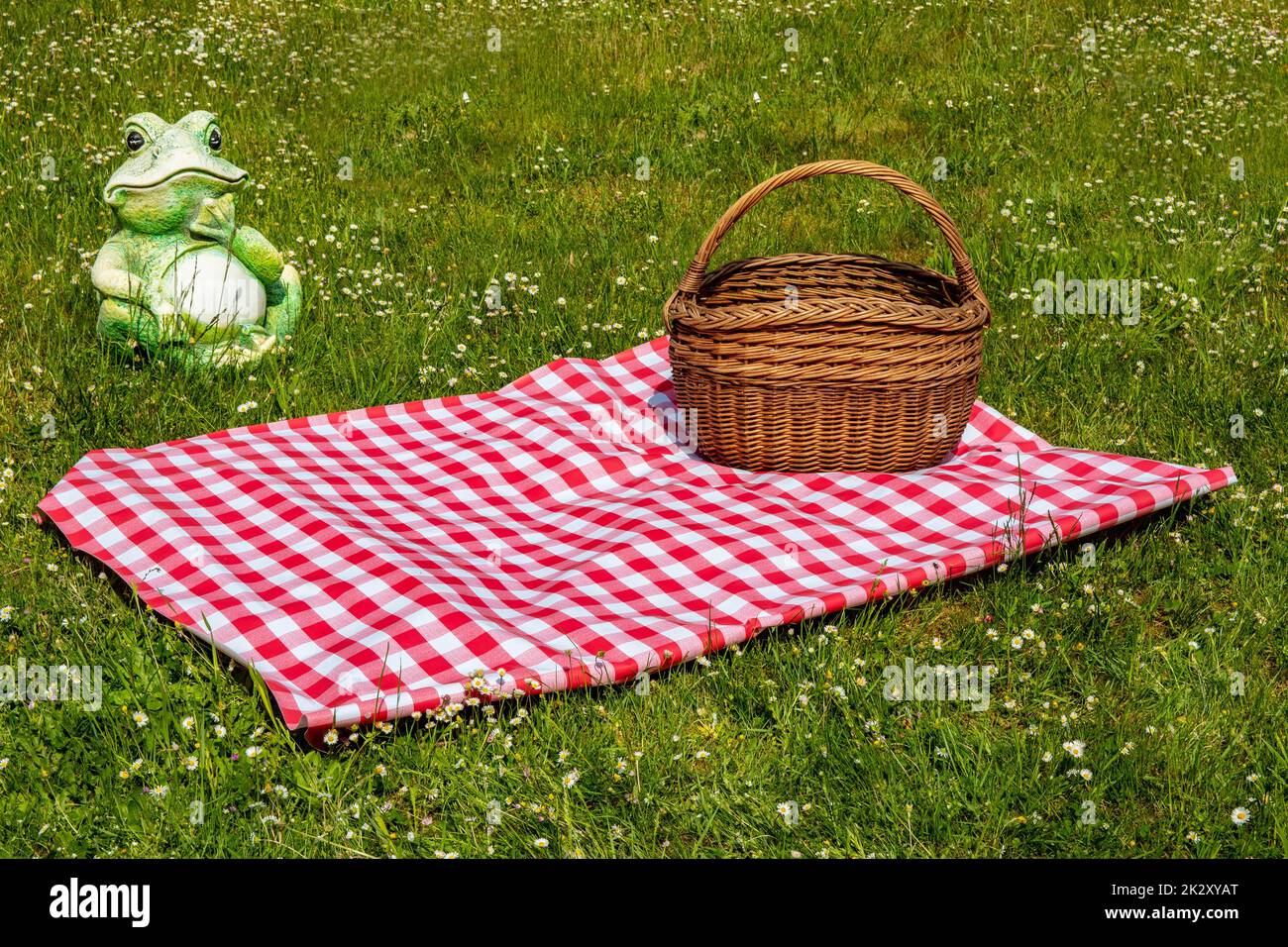 Rote karierte Picknickdecke mit leerem Korb auf einer Wiese mit blühenden Gänseblümchen. Schöner Hintergrund für die Produktplatzierung oder -Montage. Frosch im Hintergrund. Stockfoto
