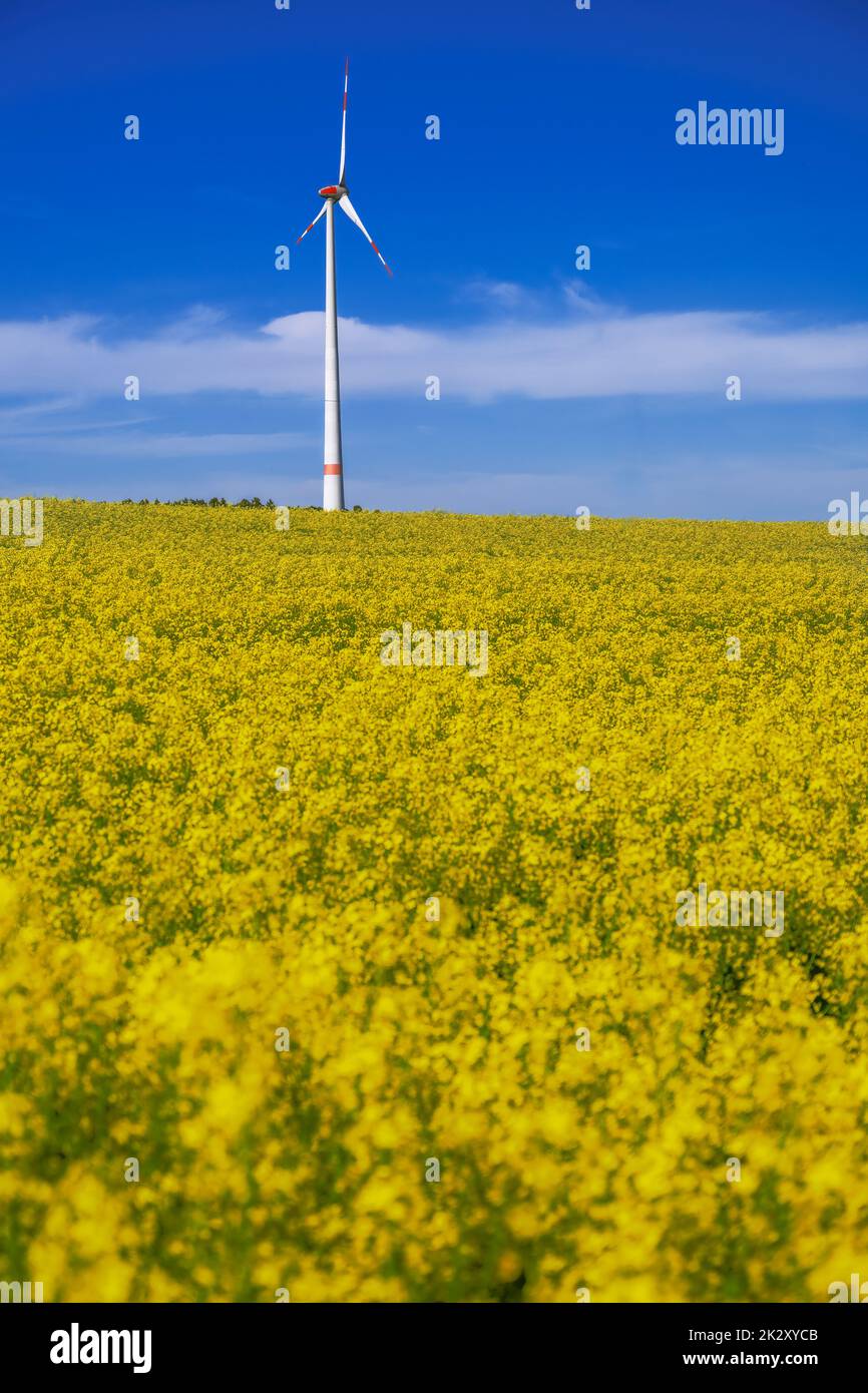 Alternative Energie mit Windkraft Stockfoto