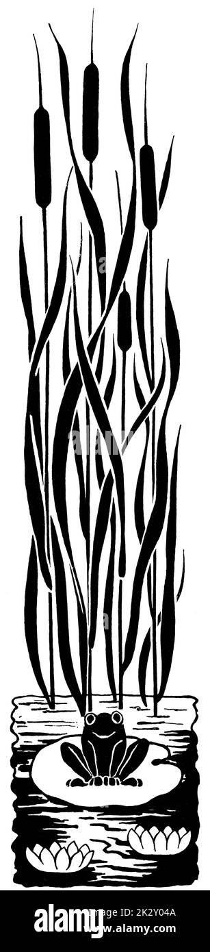 Schöne Grafik vertikale Ornament. Illustration des 19. Jahrhunderts. Deutschland. Weißer Hintergrund. Stockfoto