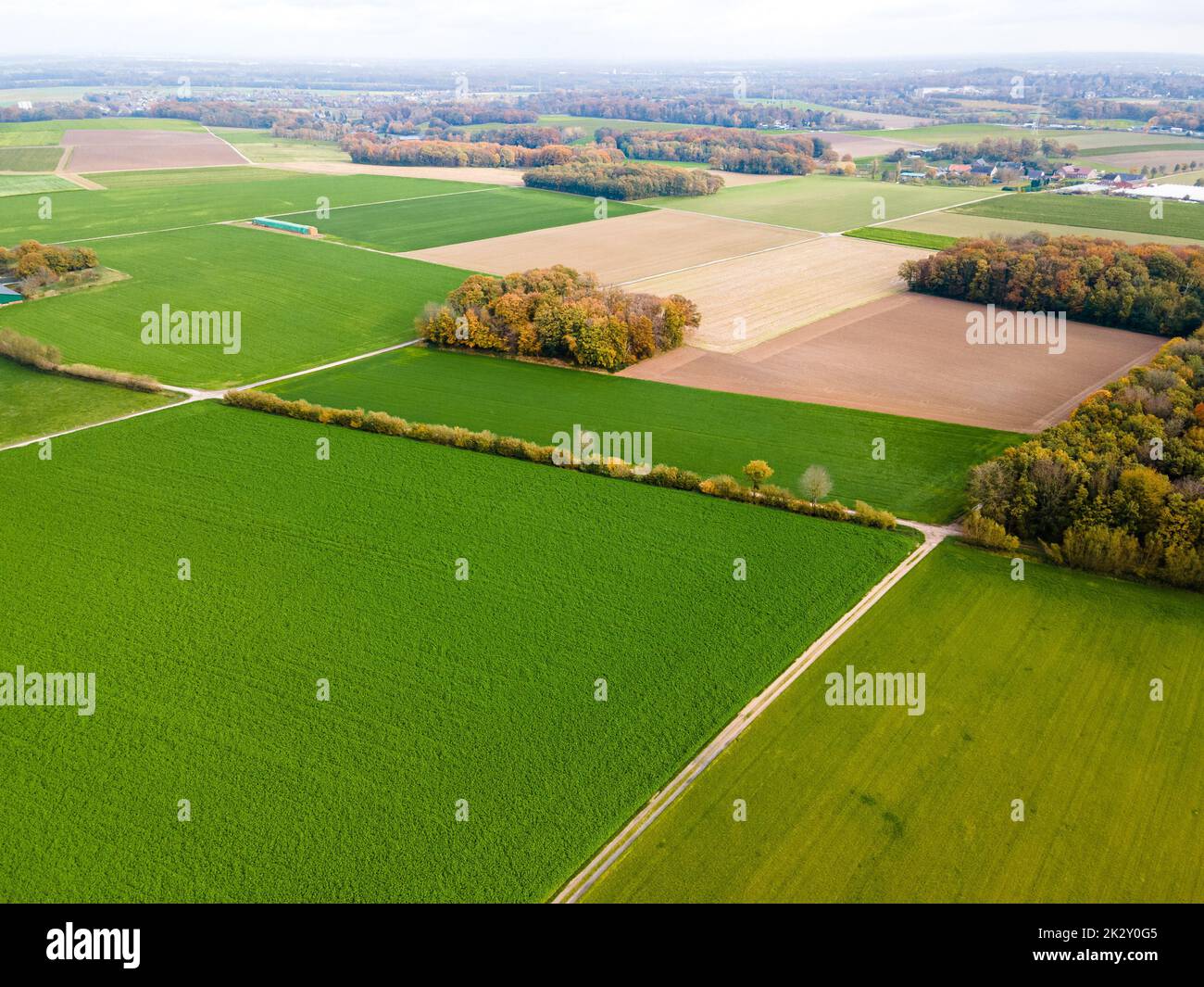 Luftaufnahme von landwirtschaftlichen Feldern. Felder auf Ackerland. Drohnenfoto Stockfoto