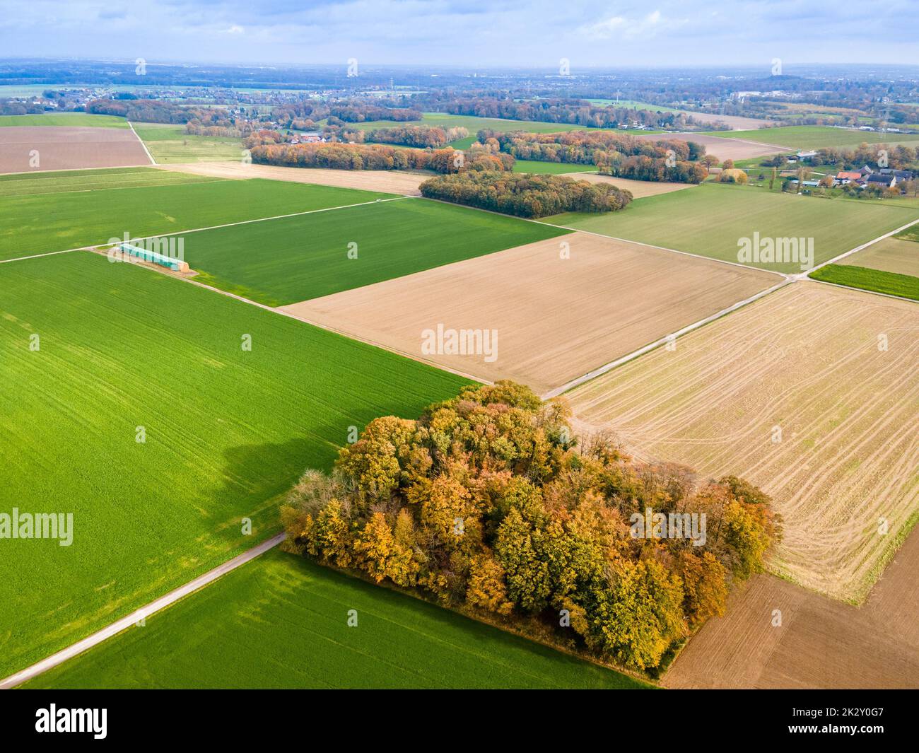 Luftaufnahme von Weiden und Ackerland. Panorama über gesunde Grünpflanzen in Patchwork-Weideland Stockfoto