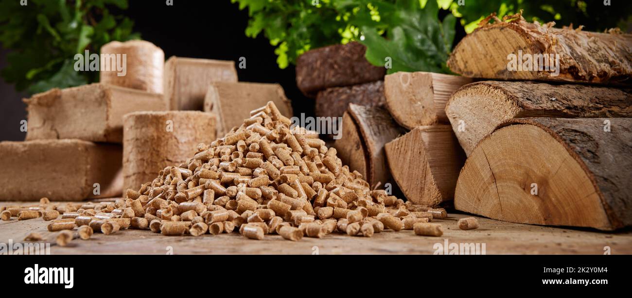 Verschiedene feste Brennstoffe mit Holzhaufen am Tag Stockfoto