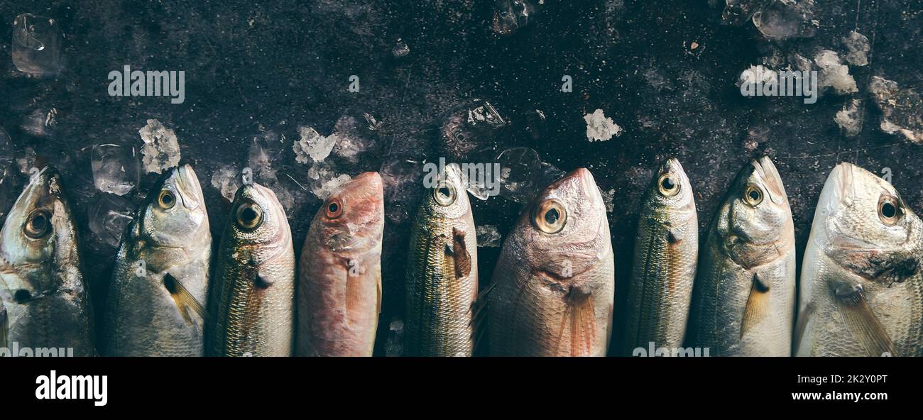 Set mit rohem Fisch auf kalter Oberfläche Stockfoto