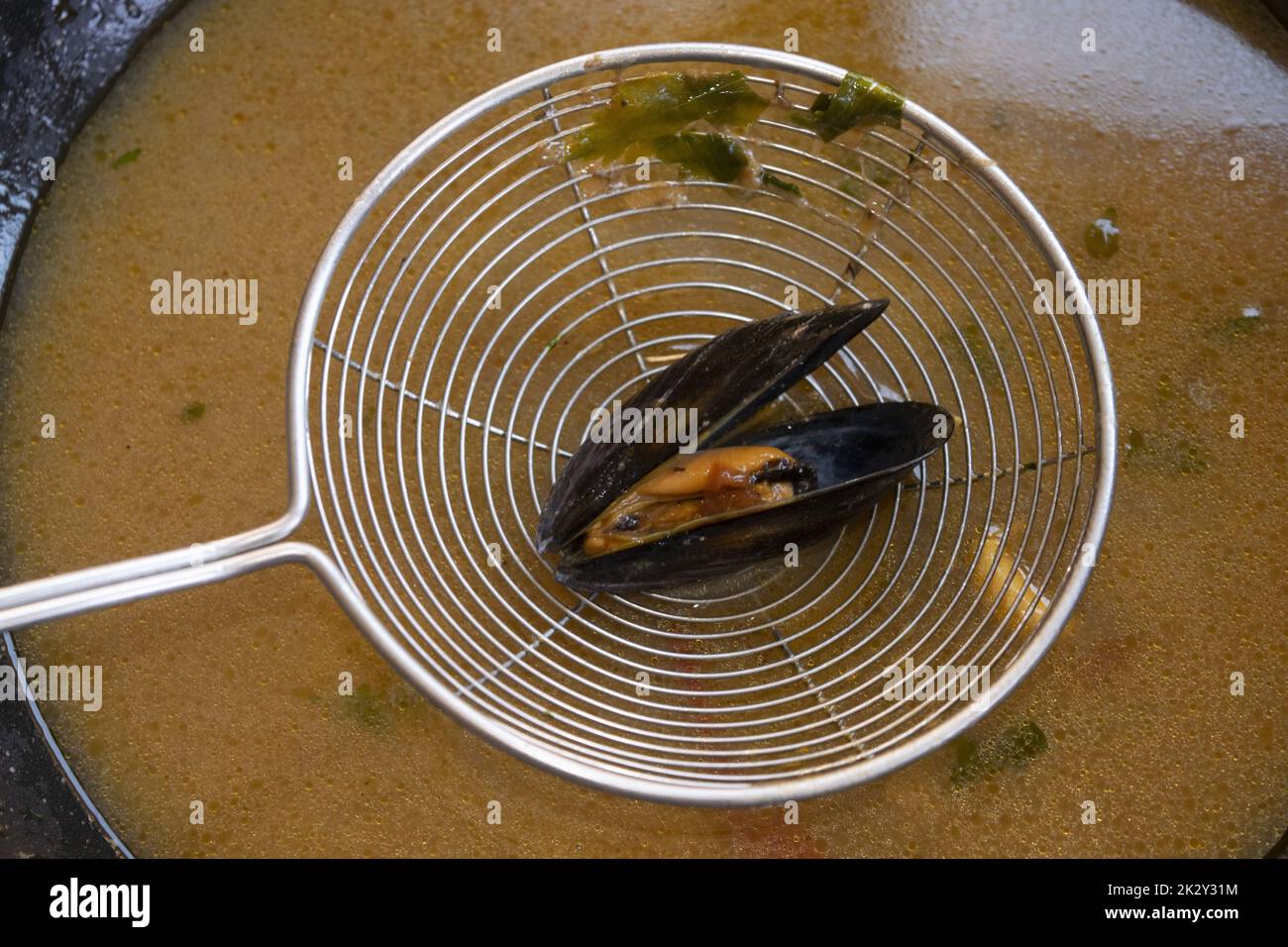 Betrunkene Muscheln in Weißweinbrühe Stockfoto