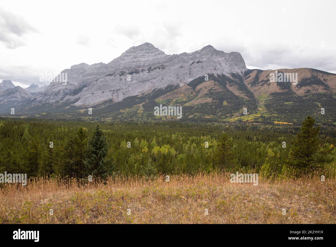 Landschaftlich reizvolle majestätische Aussicht auf Berge und Bäume, Kanadische Rockies, Kanada Stockfoto