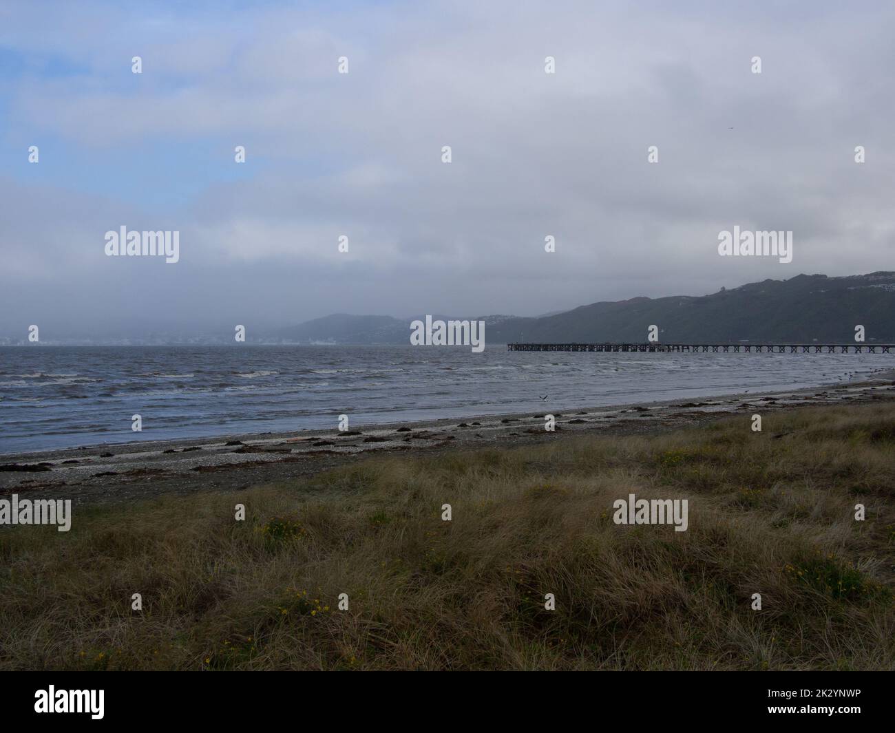 Wellington Harbor Von Petone Foreshore Stockfoto