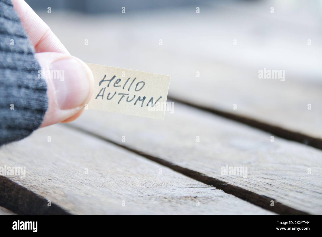 Hallo Herbst, kreatives Konzept. Die Aufschrift auf dem Etikett. Stockfoto