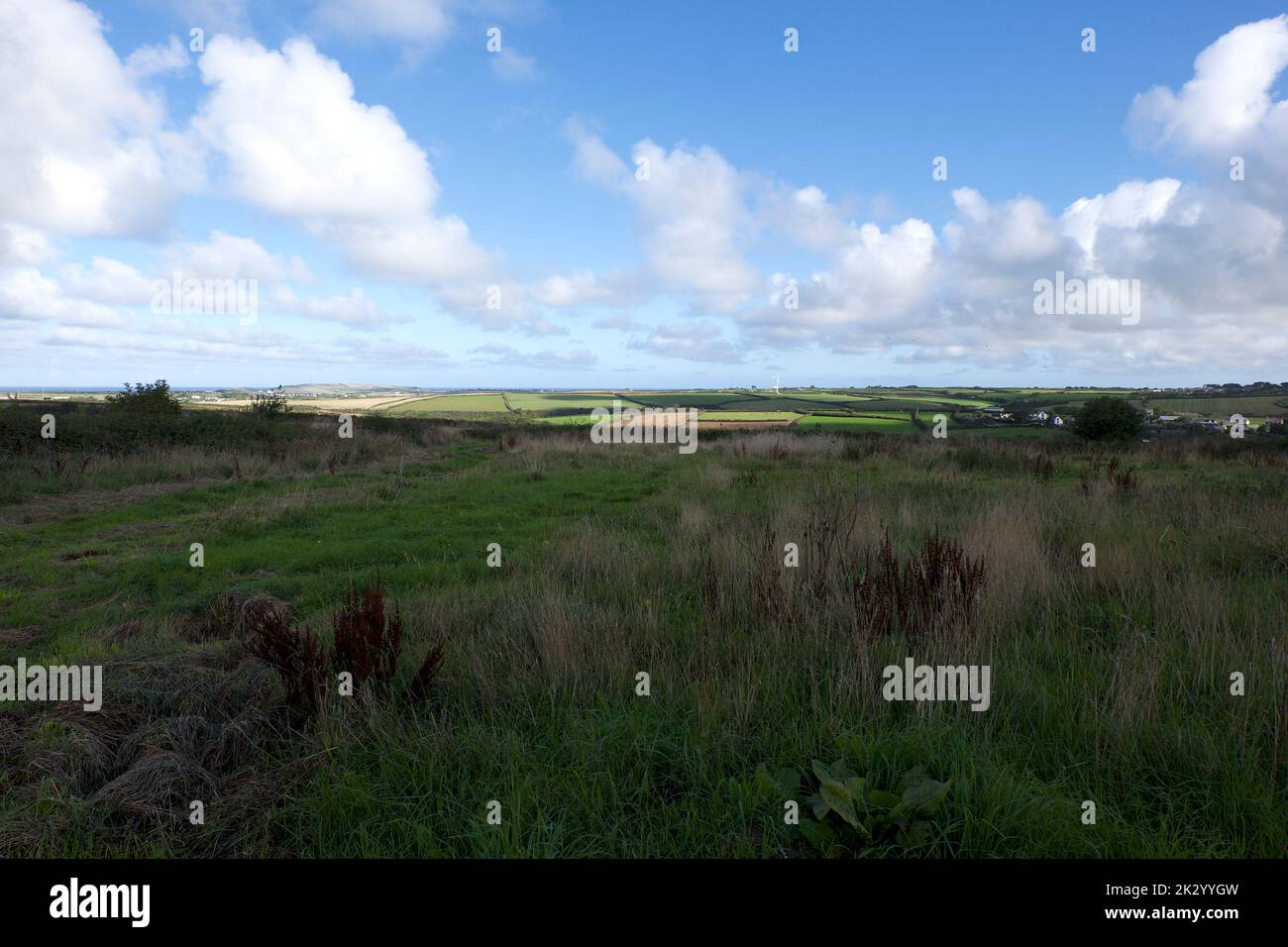 Newquay Penrose Cornwall UK 09 22 2023 ummauerter Garten Stockfoto