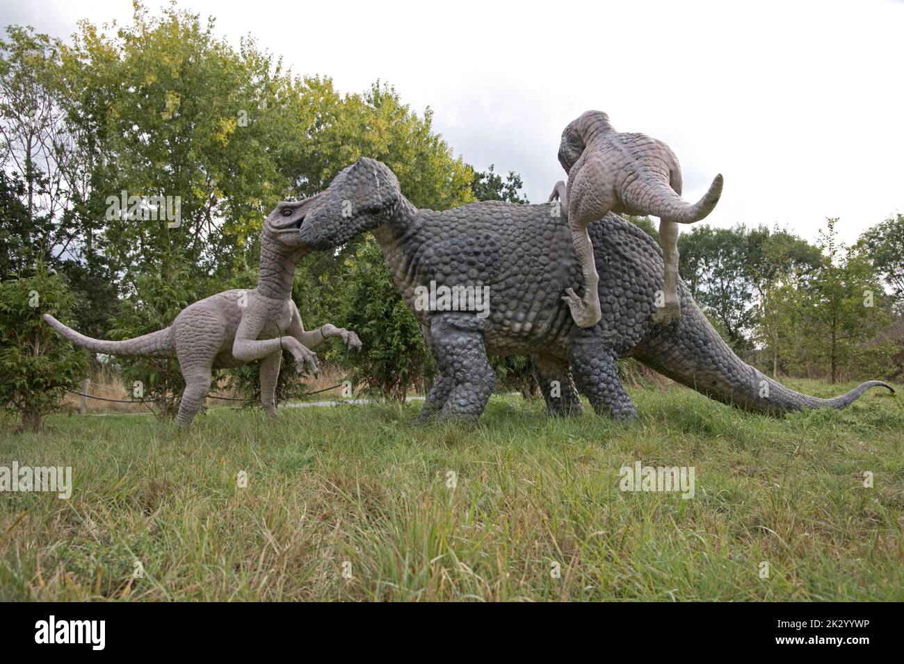 Lifesize-Modelle von Deinonychus-Theropoden, die pflanzenfressende Tenontosaurus All Things Wild, Honeybourne, Großbritannien, befestigen Stockfoto