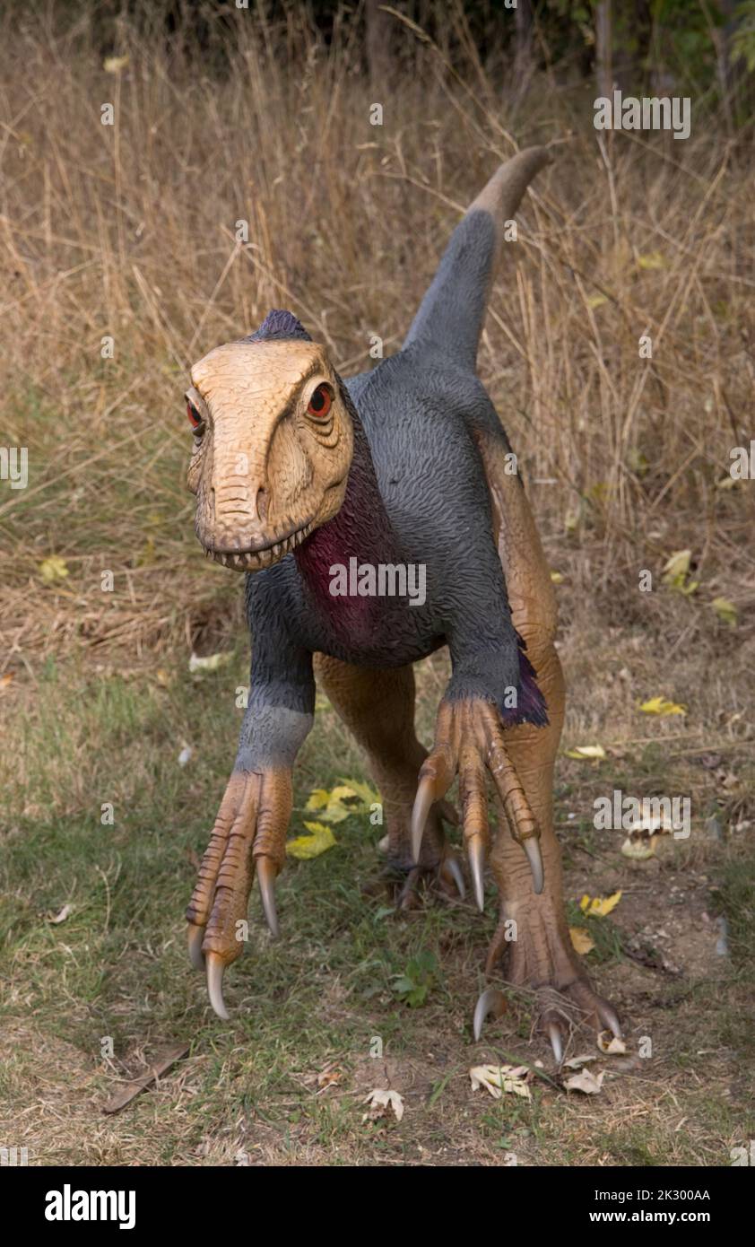Lebensgroßes Modell von Deinonychus, einem kleinen fleischfressenden Theropod-Dinosaurier All Things Wild, Honeybourne, Großbritannien Stockfoto