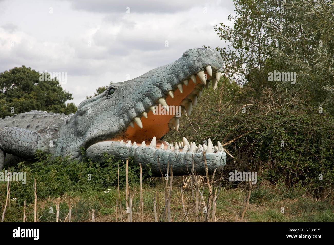Lifesize-Modell des Deinosuchus-Dinosauriers eine ausgestorbene Gattung eines Krokodilmöndes Alligatoroid All Things Wild, Honeybourne, Großbritannien Stockfoto